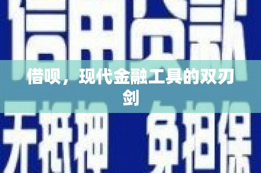 贞丰借呗，现代金融工具的双刃剑