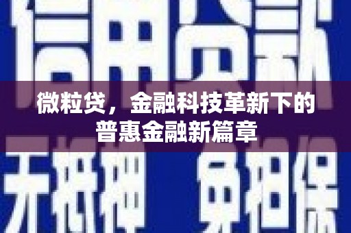 贞丰微粒贷，金融科技革新下的普惠金融新篇章