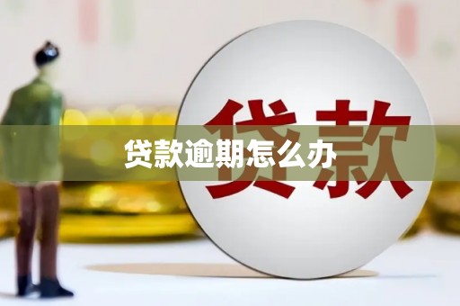 贞丰贷款逾期怎么办