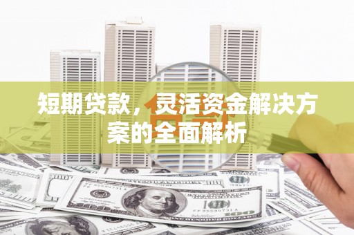 贞丰短期贷款，灵活资金解决方案的全面解析