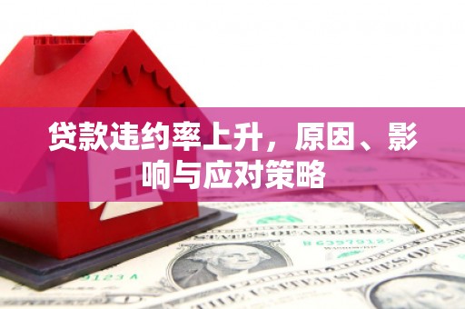 贞丰贷款违约率上升，原因、影响与应对策略