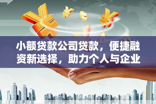 贞丰小额贷款公司贷款，便捷融资新选择，助力个人与企业成长