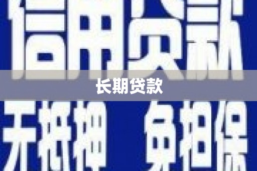 贞丰长期贷款