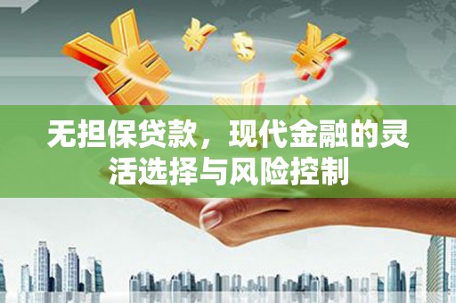 贞丰无担保贷款，现代金融的灵活选择与风险控制
