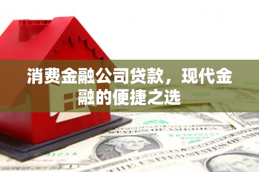 贞丰消费金融公司贷款，现代金融的便捷之选