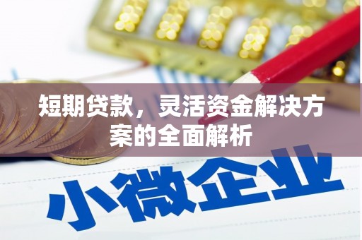 贞丰短期贷款，灵活资金解决方案的全面解析