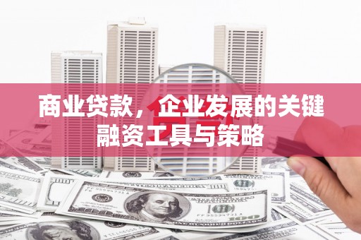 贞丰商业贷款，企业发展的关键融资工具与策略