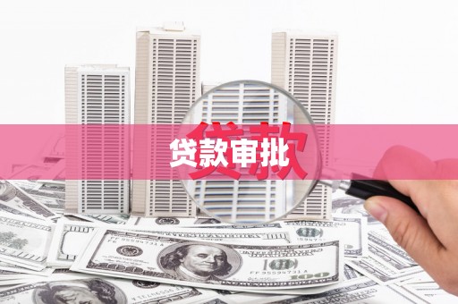贞丰贷款审批