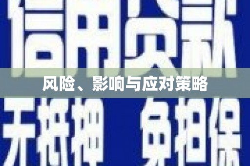 贞丰风险、影响与应对策略