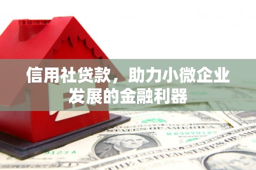 贞丰信用社贷款，助力小微企业发展的金融利器