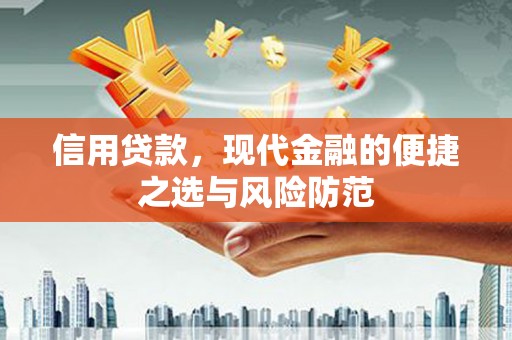 贞丰信用贷款，现代金融的便捷之选与风险防范