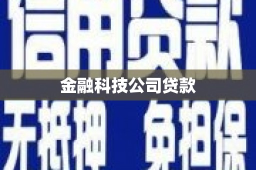 贞丰金融科技公司贷款