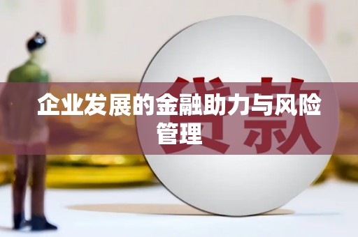 贞丰企业发展的金融助力与风险管理