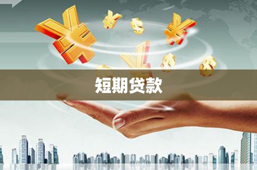 贞丰短期贷款