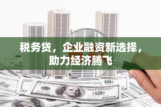 贞丰税务贷，企业融资新选择，助力经济腾飞