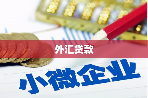 贞丰外汇贷款