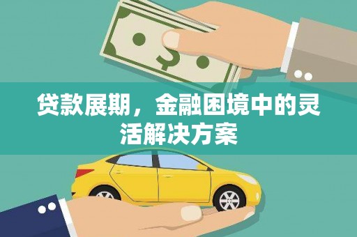 贞丰贷款展期，金融困境中的灵活解决方案
