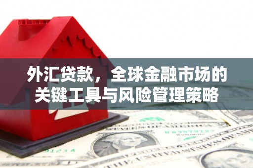 贞丰外汇贷款，全球金融市场的关键工具与风险管理策略