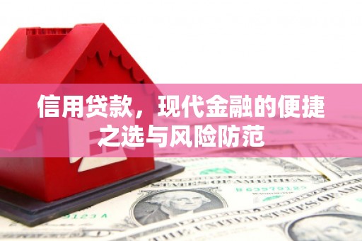 贞丰信用贷款，现代金融的便捷之选与风险防范