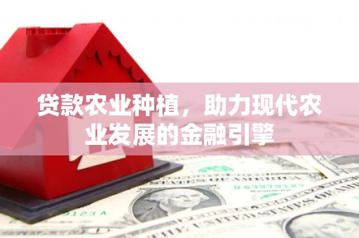 贞丰贷款农业种植，助力现代农业发展的金融引擎