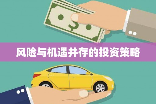 贞丰风险与机遇并存的投资策略