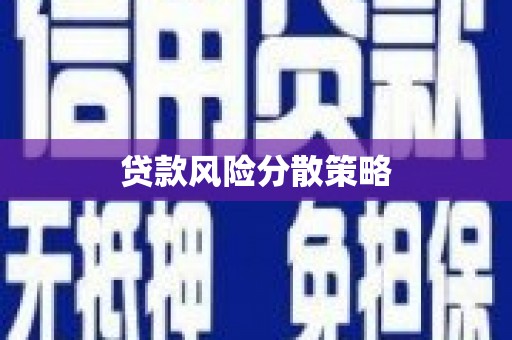 贞丰贷款风险分散策略