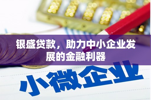 贞丰银盛贷款，助力中小企业发展的金融利器