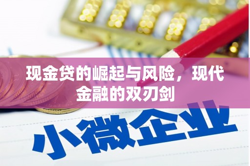 贞丰现金贷的崛起与风险，现代金融的双刃剑