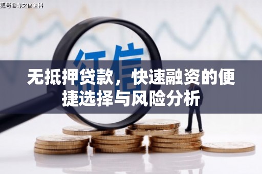 贞丰无抵押贷款，快速融资的便捷选择与风险分析