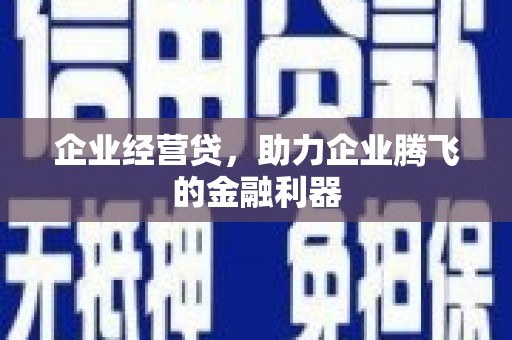 贞丰企业经营贷，助力企业腾飞的金融利器