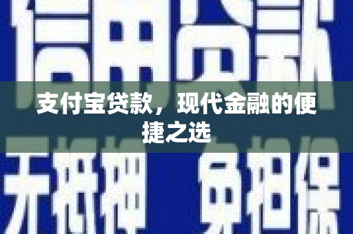 贞丰支付宝贷款，现代金融的便捷之选