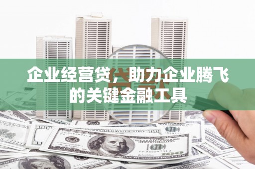贞丰企业经营贷，助力企业腾飞的关键金融工具