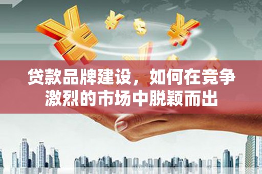 贞丰贷款品牌建设，如何在竞争激烈的市场中脱颖而出