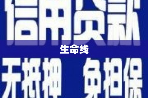 贞丰生命线