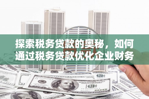 贞丰探索税务贷款的奥秘，如何通过税务贷款优化企业财务