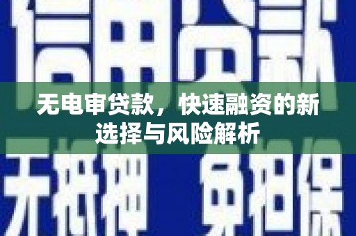 贞丰无电审贷款，快速融资的新选择与风险解析