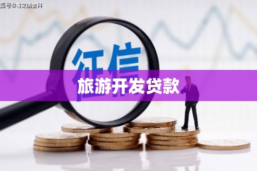 贞丰旅游开发贷款