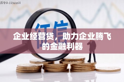贞丰企业经营贷，助力企业腾飞的金融利器