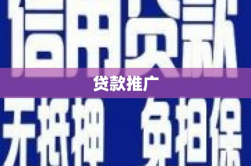贞丰贷款推广