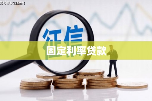 贞丰固定利率贷款