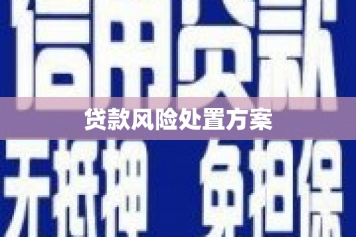 贞丰贷款风险处置方案