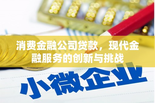 贞丰消费金融公司贷款，现代金融服务的创新与挑战