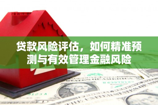 贞丰贷款风险评估，如何精准预测与有效管理金融风险