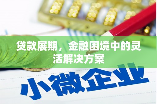 贞丰贷款展期，金融困境中的灵活解决方案