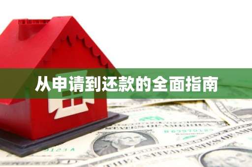 贞丰从申请到还款的全面指南