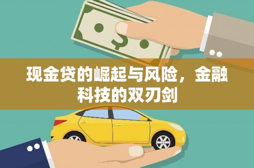 贞丰现金贷的崛起与风险，金融科技的双刃剑