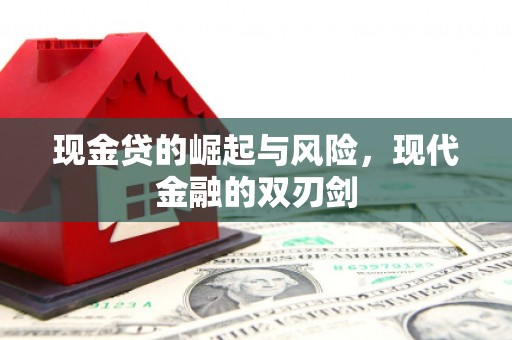 贞丰现金贷的崛起与风险，现代金融的双刃剑