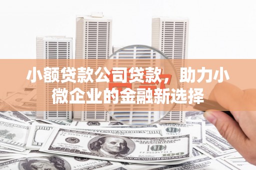 贞丰小额贷款公司贷款，助力小微企业的金融新选择