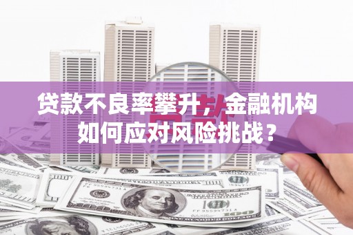 贞丰贷款不良率攀升，金融机构如何应对风险挑战？