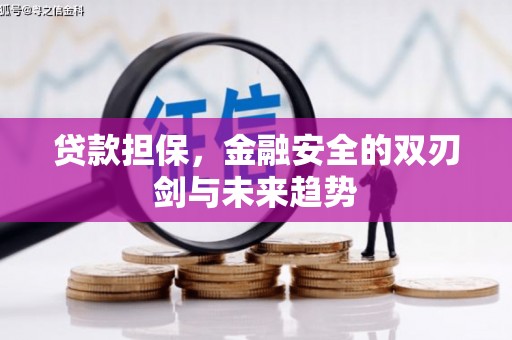 贞丰贷款担保，金融安全的双刃剑与未来趋势